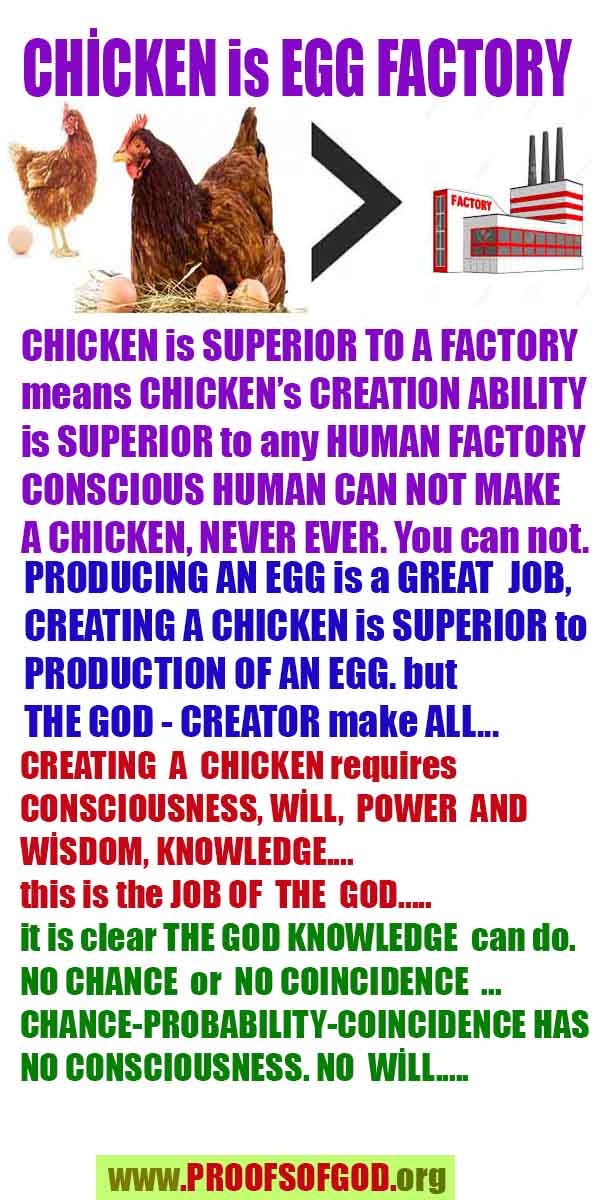 ALLAH, #god, evidences god, evidences-god,proofs of god, evidences of god, god-proofs, god-signs, god-evidences, god exists, god-real, god is real,god-exists, #god, #godreal, #godexists, #godproofs, #godevidences