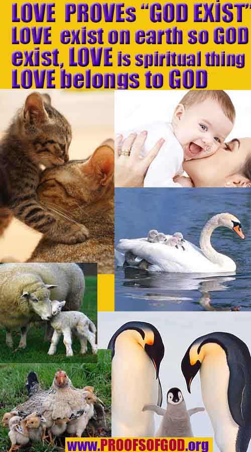 evidences god, evidences-god,proofs of god, evidences of god, god-proofs, god-signs, god-evidences, god exists, god-real, god is real,god-exists, #god, #godreal, #godexists, #godproofs, #godevidences