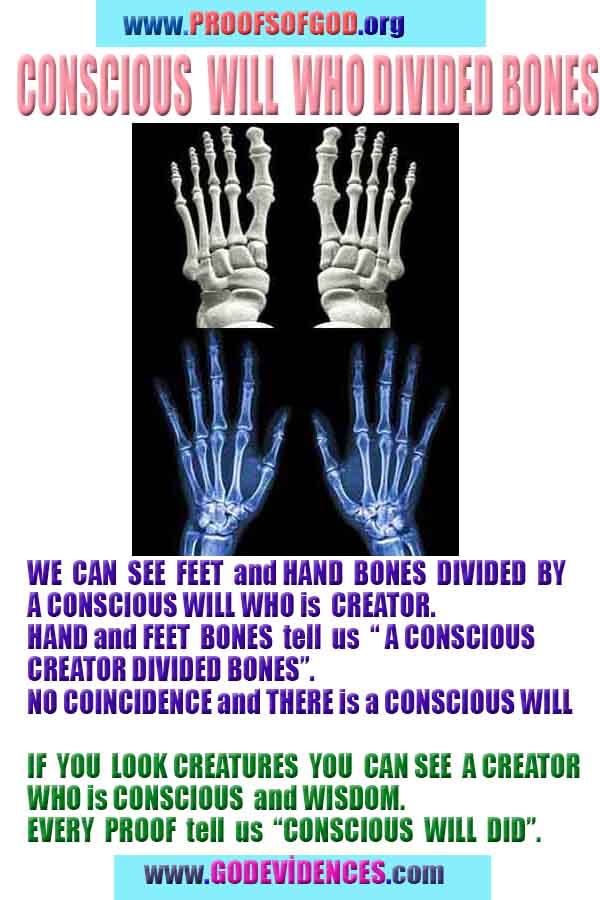 evidences god, evidences-god,proofs of god, evidences of god, god-proofs, god-signs, god-evidences, god exists, god-real, god is real,god-exists, #god, #godreal, #godexists, #godproofs