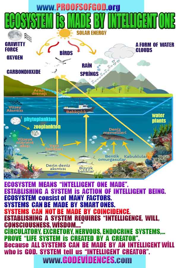 ALLAH, #god, evidences god, evidences-god,proofs of god, evidences of god, god-proofs, god-signs, god-evidences, god exists, god-real, god is real,god-exists, #god, #godreal, #godexists, #godproofs, #godevidences