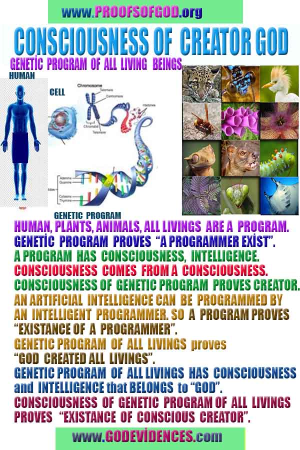 proofs of god, evidences of god, god-proofs, god-signs, god-evidences, god exists, god-real, god is real,god-exists, #god, #godreal, #godexists, #godproofs, #godevidences