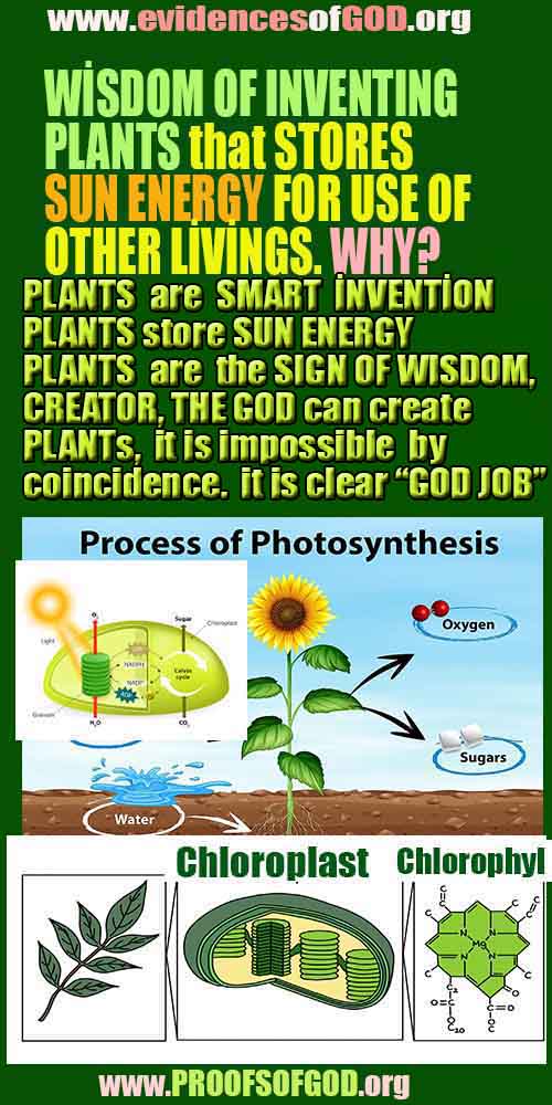 ALLAH, #god, evidences god, evidences-god,proofs of god, evidences of god, god-proofs, god-signs, god-evidences, god exists, god-real, god is real,god-exists, #god, #godreal, #godexists, #godproofs