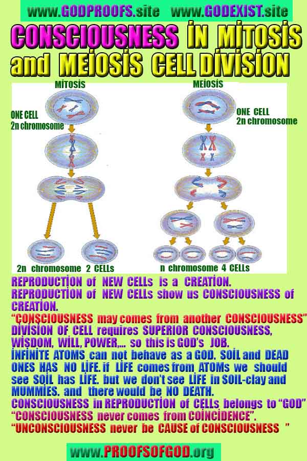 ALLAH, #god, evidences god, evidences-god,proofs of god, evidences of god, god-proofs, god-signs, god-evidences, god exists, god-real, god is real,god-exists, #god, #godreal, #godexists, #godproofs, #godevidences