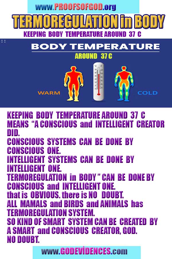 #god, evidences god, evidences-god,proofs of god, evidences of god, god-proofs, god-signs, god-evidences, god exists, god-real, god is real,god-exists, #god, #godreal, #godexists, #godproofs, #godevidences