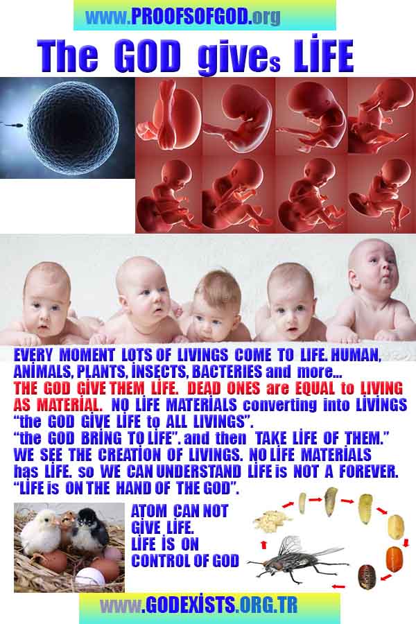 #ALLAH, #god,evidences god, evidences-god,proofs of god, evidences of god, god-proofs, god-signs, god-evidences, god exists, god-real, god is real,god-exists, #god, #godreal, #godexists, #godproofs, #godevidences