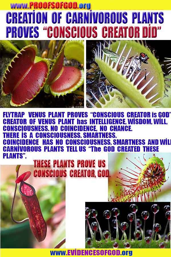 #ALLAH, #god, evidences god, evidences-god,proofs of god, evidences of god, god-proofs, god-signs, god-evidences, god exists, god-real, god is real,god-exists, #god, #godreal, #godexists, #godproofs, #godevidences