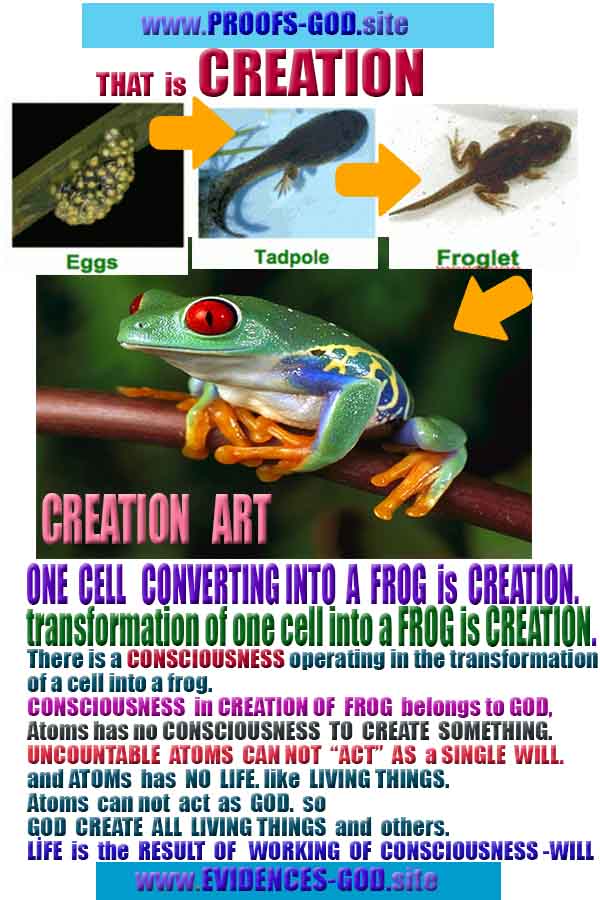ALLAH, #god, evidences god, evidences-god,proofs of god, evidences of god, god-proofs, god-signs, god-evidences, god exists, god-real, god is real,god-exists, #god, #godreal, #godexists, #godproofs, #godevidences