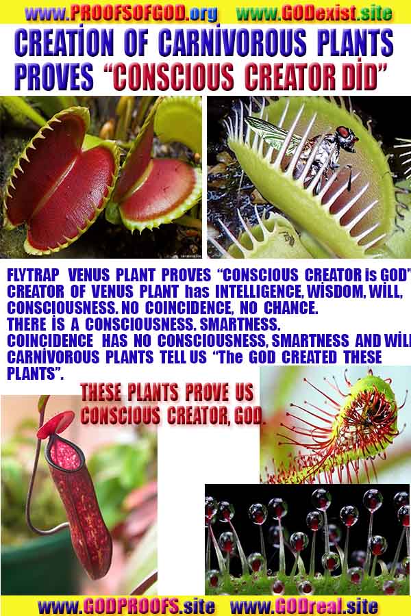 ALLAH, #god, evidences god, evidences-god,proofs of god, evidences of god, god-proofs, god-signs, god-evidences, god exists, god-real, god is real,god-exists, #god, #godreal, #godexists, #godproofs, #godevidences