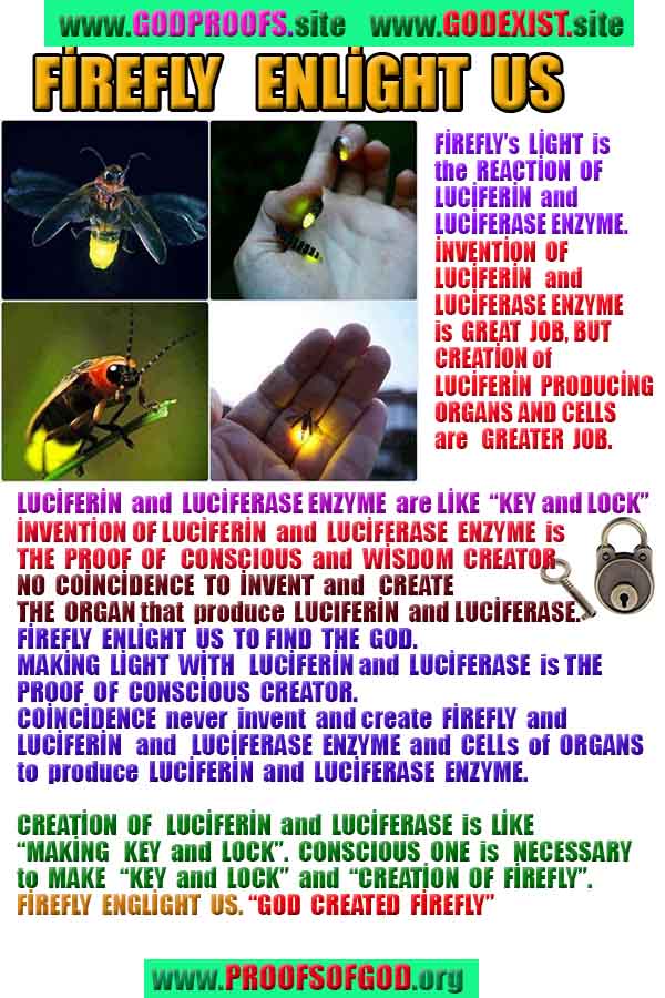 #ALLAH, #god,evidences god, evidences-god,proofs of god, evidences of god, god-proofs, god-signs, god-evidences, god exists, god-real, god is real,god-exists, #god, #godreal, #godexists, #godproofs, #godevidences