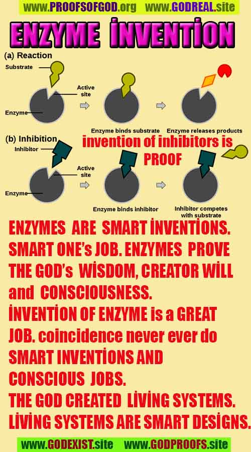 #ALLAH, #god, evidences god, evidences-god,proofs of god, evidences of god, god-proofs, god-signs, god-evidences, god exists, god-real, god is real,god-exists, #god, #godreal, #godexists, #godproofs, #godevidences