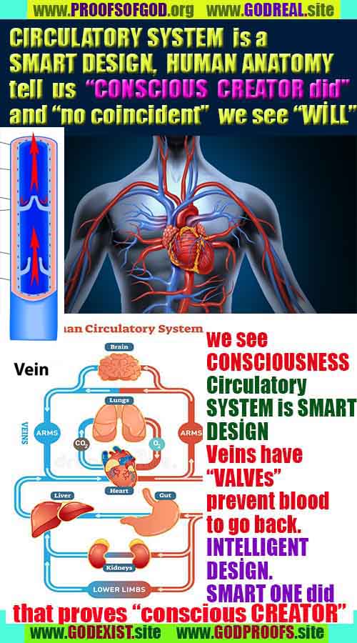 ALLAH, #god, evidences god, evidences-god,proofs of god, evidences of god, god-proofs, god-signs, god-evidences, god exists, god-real, god is real,god-exists, #god, #godreal, #godexists, #godproofs