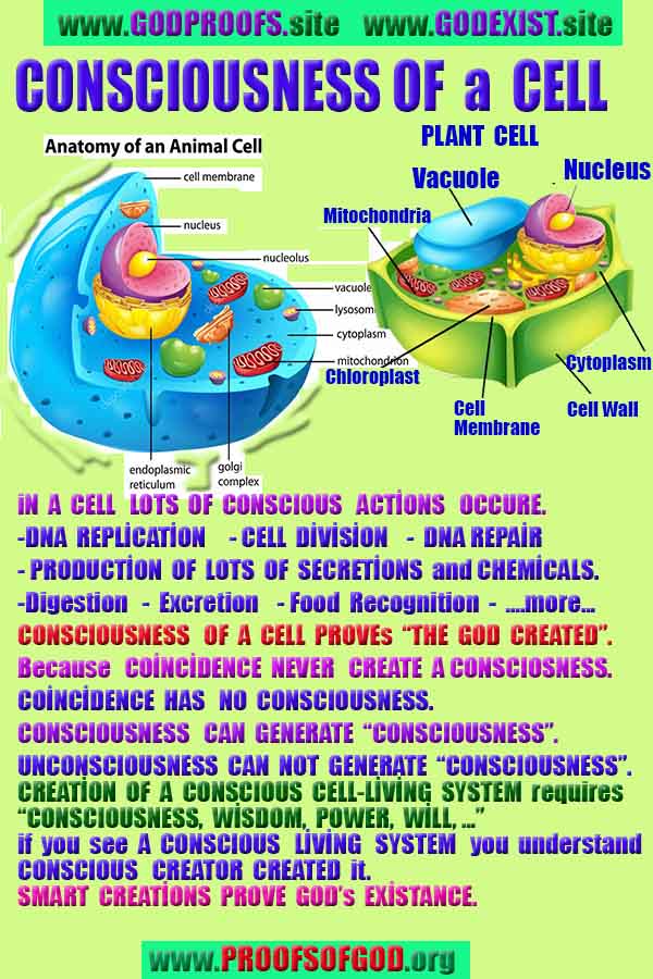ALLAH, #god, evidences god, evidences-god,proofs of god, evidences of god, god-proofs, god-signs, god-evidences, god exists, god-real, god is real,god-exists, #god, #godreal, #godexists, #godproofs, #godevidences