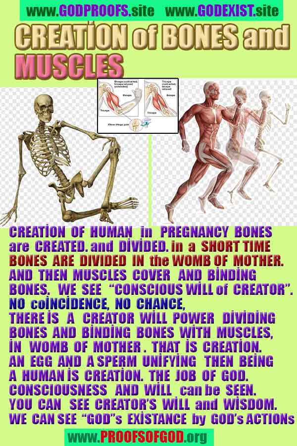ALLAH, #god, evidences god, evidences-god,proofs of god, evidences of god, god-proofs, god-signs, god-evidences, god exists, god-real, god is real,god-exists, #god, #godreal, #godexists, #godproofs, #godevidences