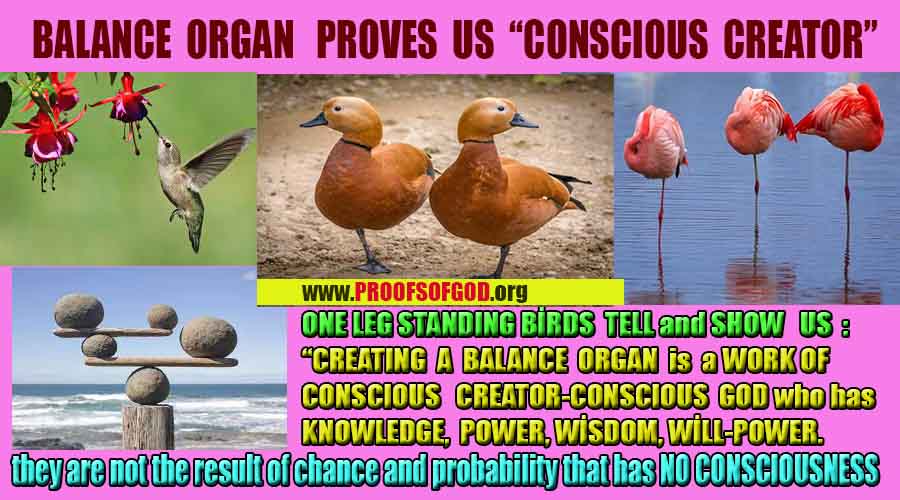 #ALLAH, #god, evidences god, evidences-god,proofs of god, evidences of god, god-proofs, god-signs, god-evidences, god exists, god-real, god is real,god-exists, #god, #godreal, #godexists, #godproofs, #godevidences