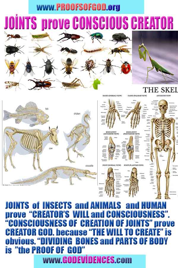 ALLAH, #god, evidences god, evidences-god,proofs of god, evidences of god, god-proofs, god-signs, god-evidences, god exists, god-real, god is real,god-exists, #god, #godreal, #godexists, #godproofs