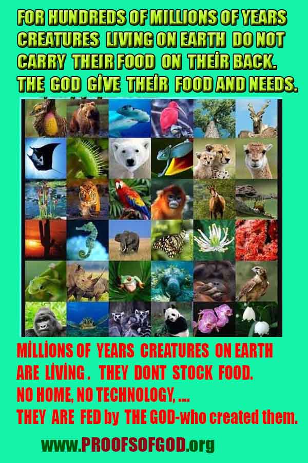 evidences god, evidences-god,proofs of god, evidences of god, god-proofs, god-signs, god-evidences, god exists, god-real, god is real,god-exists, #god, #godreal, #godexists, #godproofs, #godevidences