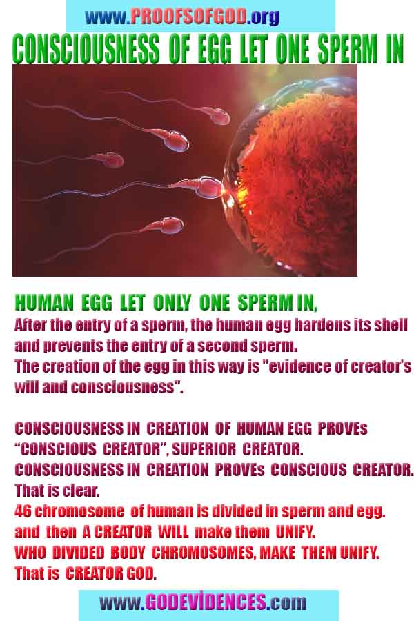 evidences god, evidences-god,proofs of god, evidences of god, god-proofs, god-signs, god-evidences, god exists, god-real, god is real,god-exists, #god, #godreal, #godexists, #godproofs