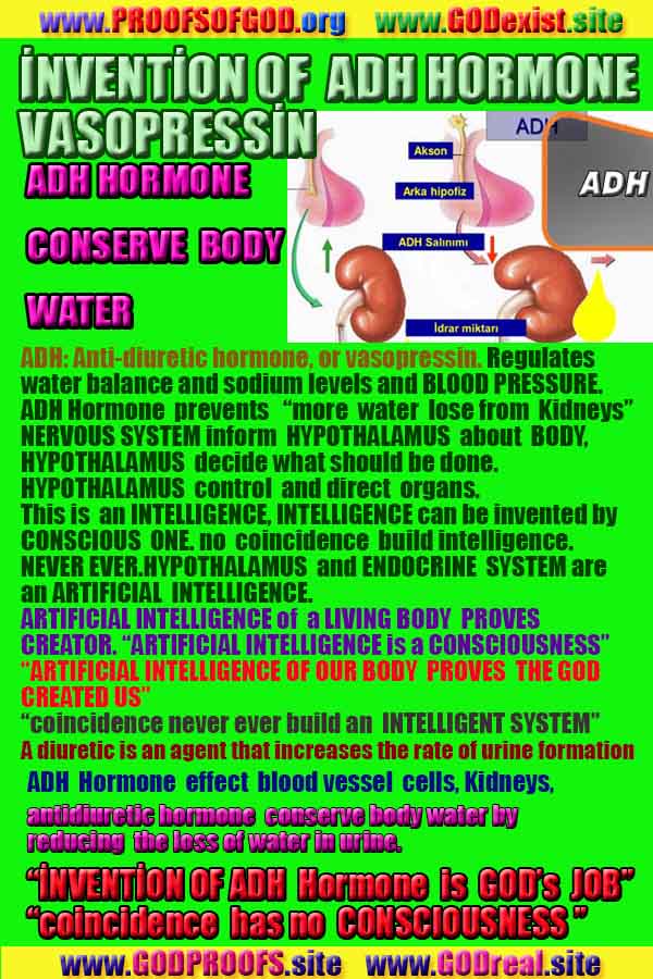 #ALLAH, #god,evidences god, evidences-god,proofs of god, evidences of god, god-proofs, god-signs, god-evidences, god exists, god-real, god is real,god-exists, #god, #godreal, #godexists, #godproofs, #godevidences