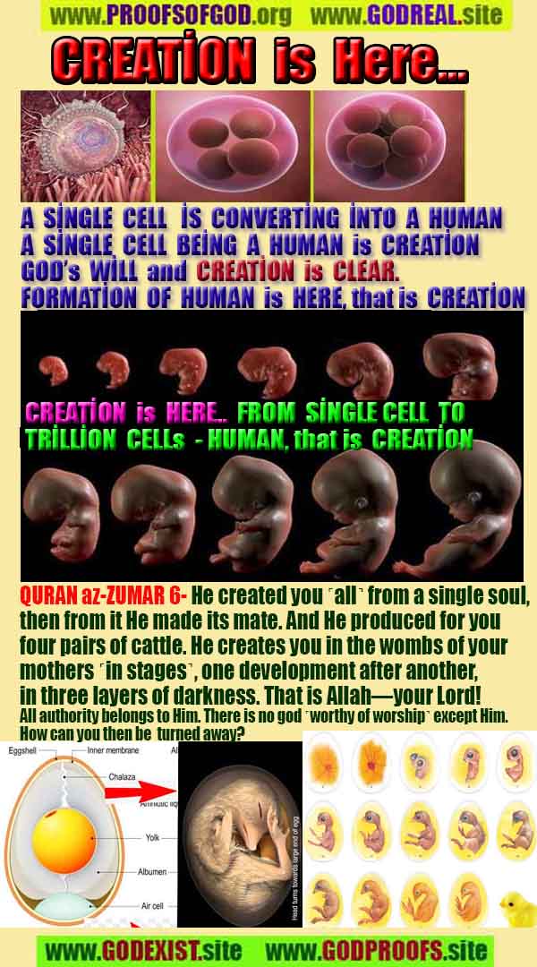 ALLAH, #god,evidences god, evidences-god,proofs of god, evidences of god, god-proofs, god-signs, god-evidences, god exists, god-real, god is real,god-exists, #god, #godreal, #godexists, #godproofs, #godevidences