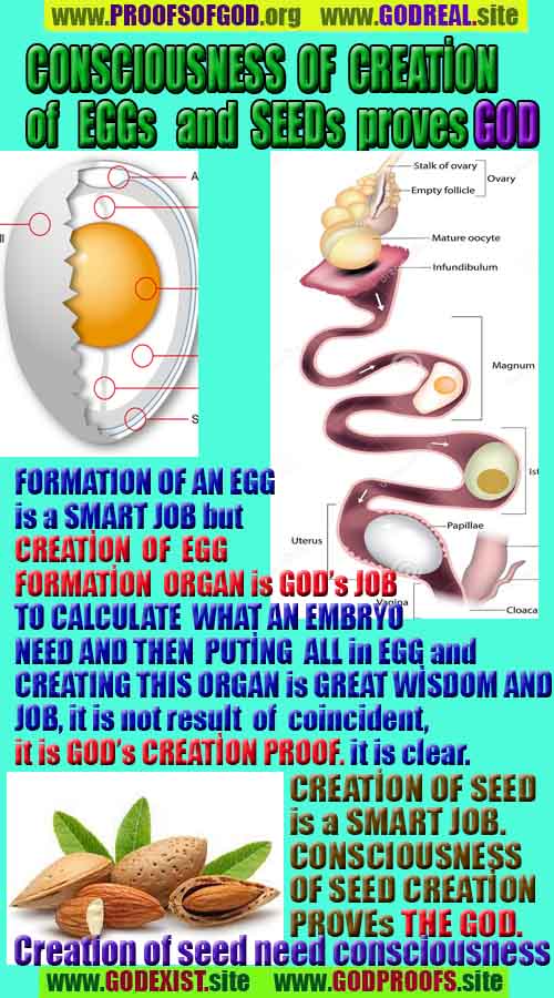 #ALLAH, #god, evidences god, evidences-god,proofs of god, evidences of god, god-proofs, god-signs, god-evidences, god exists, god-real, god is real,god-exists, #god, #godreal, #godexists, #godproofs, #godevidences
