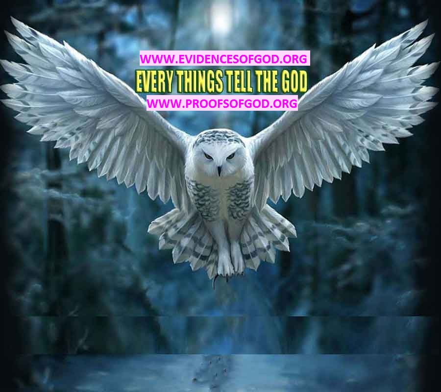 #god, evidences god, evidences-god,proofs of god, evidences of god, god-proofs, god-signs, god-evidences, god exists, god-real, god is real,god-exists, #god, #godreal, #godexists, #godproofs, #godevidences