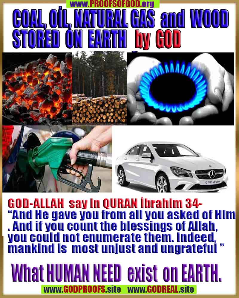 evidences god, evidences-god,proofs of god, evidences of god, god-proofs, god-signs, god-evidences, god exists, god-real, god is real,god-exists, #god, #godreal, #godexists, #godproofs, #godevidences
