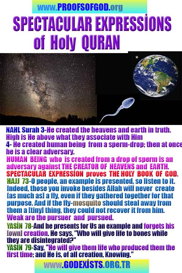 ALLAH, #god, evidences god, evidences-god,proofs of god, evidences of god, god-proofs, god-signs, god-evidences, god exists, god-real, god is real,god-exists, #god, #godreal, #godexists, #godproofs, #godevidences