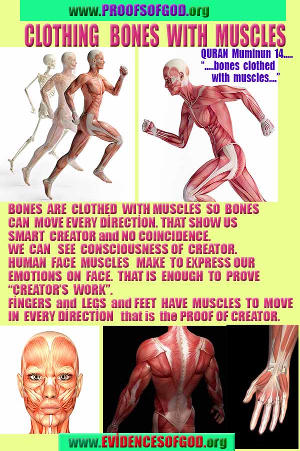 ALLAH, #god, evidences god, evidences-god,proofs of god, evidences of god, god-proofs, god-signs, god-evidences, god exists, god-real, god is real,god-exists, #god, #godreal, #godexists, #godproofs, #godevidences
