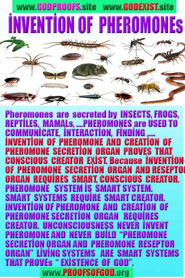 #ALLAH, #god,evidences god, evidences-god,proofs of god, evidences of god, god-proofs, god-signs, god-evidences, god exists, god-real, god is real,god-exists, #god, #godreal, #godexists, #godproofs, #godevidences