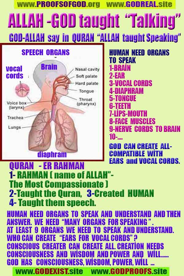 ALLAH, #god, evidences god, evidences-god,proofs of god, evidences of god, god-proofs, god-signs, god-evidences, god exists, god-real, god is real,god-exists, #god, #godreal, #godexists, #godproofs, #godevidences