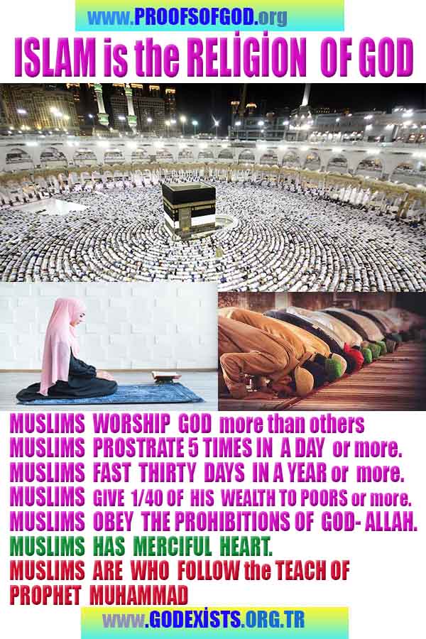 #god, evidences god, evidences-god,proofs of god, evidences of god, god-proofs, god-signs, god-evidences, god exists, god-real, god is real,god-exists, #god, #godreal, #godexists, #godproofs, #godevidences