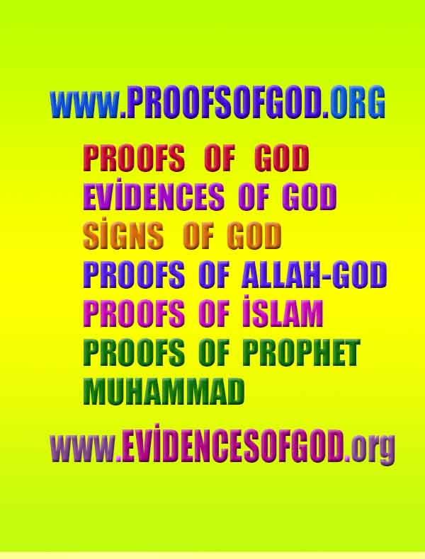 #ALLAH, #god,evidences god, evidences-god,proofs of god, evidences of god, god-proofs, god-signs, god-evidences, god exists, god-real, god is real,god-exists, #god, #godreal, #godexists, #godproofs, #godevidences